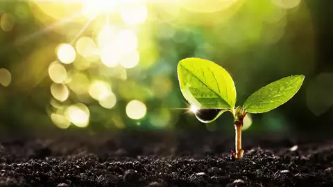 Biometrias utvecklingsportfölj för framtidens utveckling